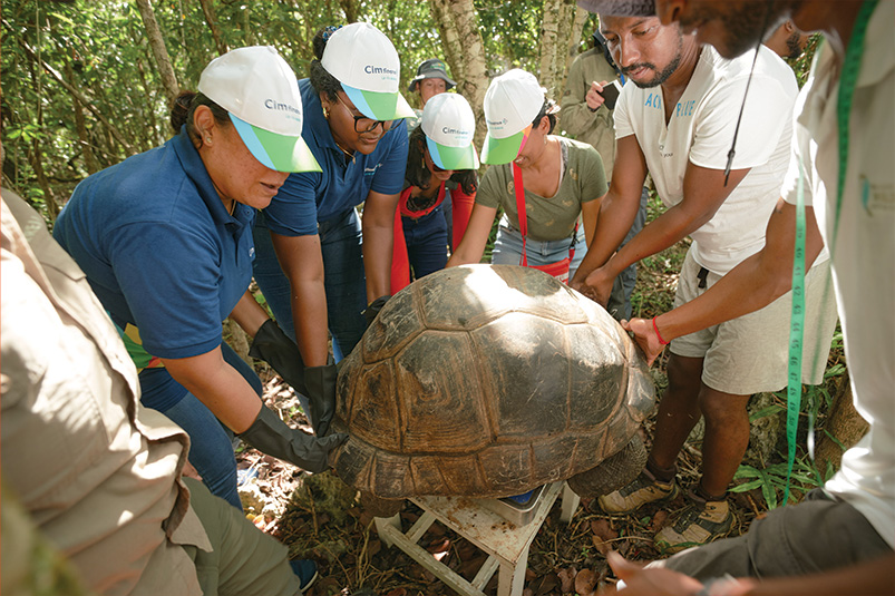 Cim Finance se mobilise autour des  tortues géantes d’Aldabra de l’Île aux Aigrettes